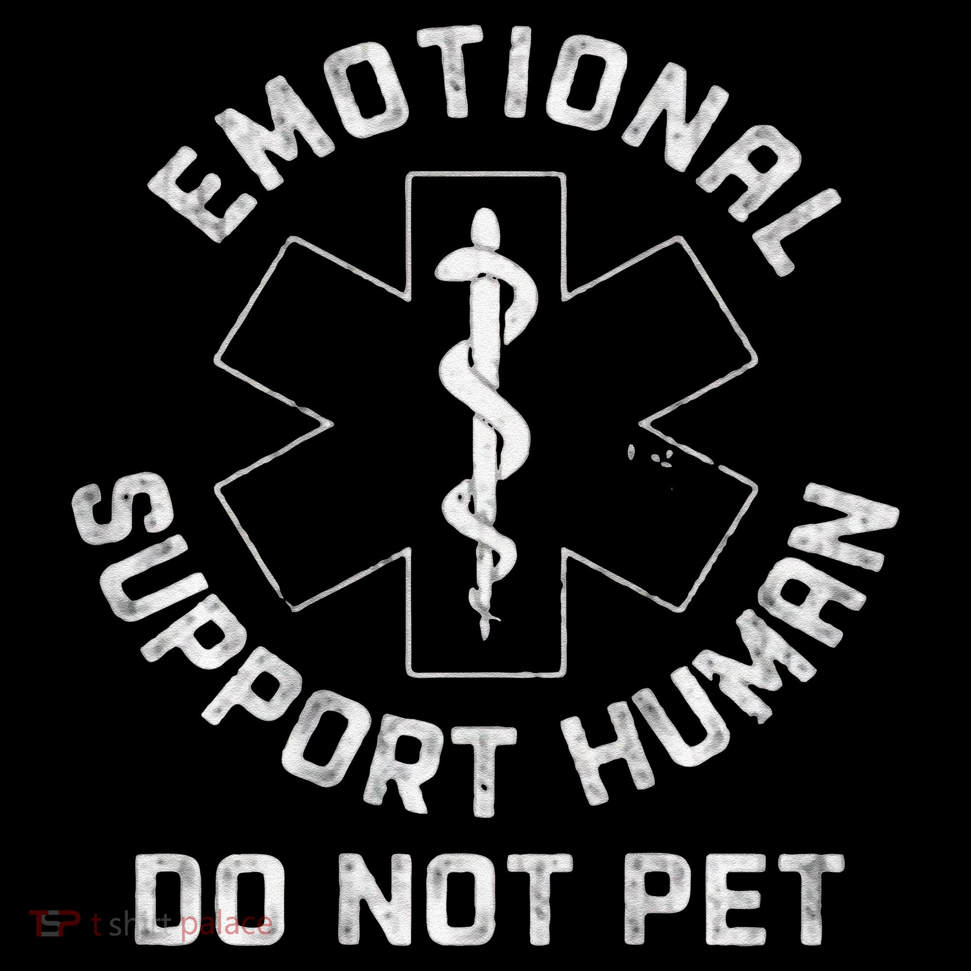 S Back Do Not Pet Emotional Support Husband Funny Women's Hoodie
