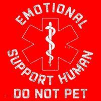 S Back Do Not Pet Emotional Support Husband Funny Santa Hat thumb 1