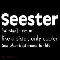 Sister Birthday Funny Gift With Funny Seester Definition Gift Women's Hoodie thumb 2