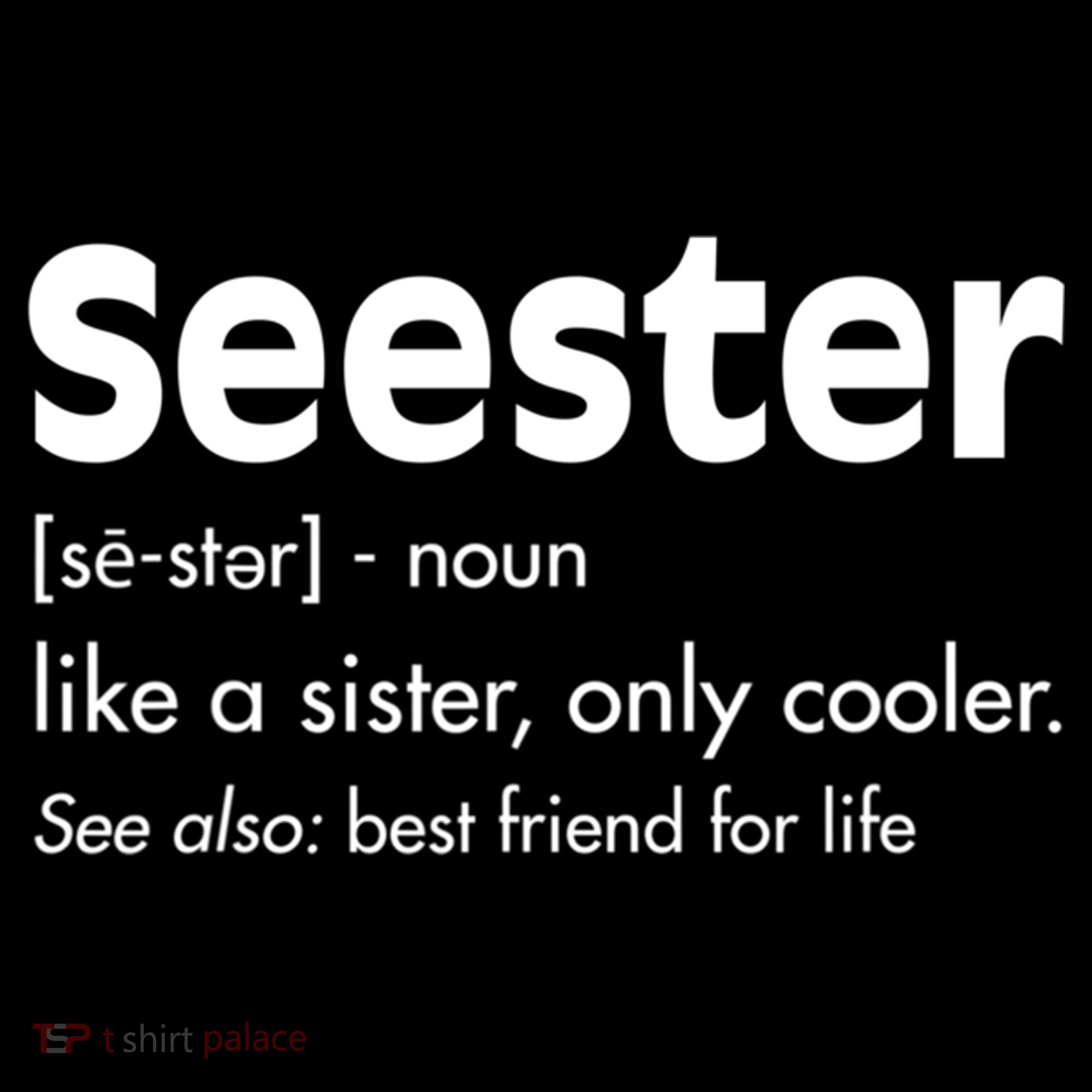 Sister Birthday Funny Gift With Funny Seester Definition Gift Women's Hoodie