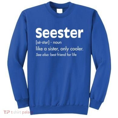Sister Birthday Funny Gift With Funny Seester Definition Gift Sweatshirt