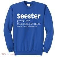 Sister Birthday Funny Gift With Funny Seester Definition Gift Sweatshirt thumb 0