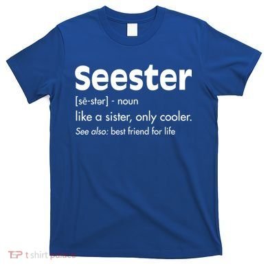 Sister Birthday Funny Gift With Funny Seester Definition Gift T-Shirt