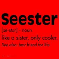 Sister Birthday Funny Gift With Funny Seester Definition Gift Santa Hat thumb 1