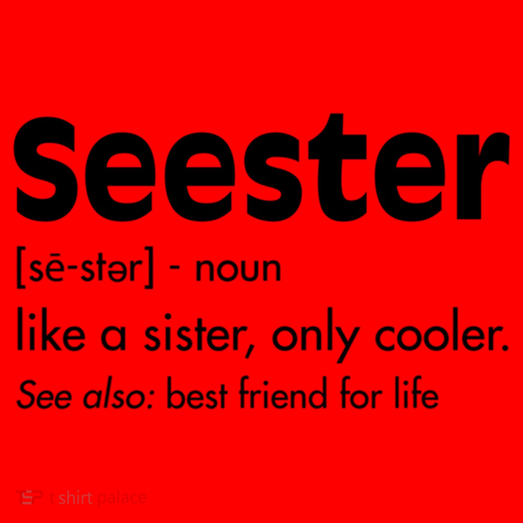 Sister Birthday Funny Gift With Funny Seester Definition Gift Santa Hat