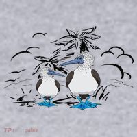 Seabirds Blue Footed Booby Bird Galapagos Islands Women's Sweatshirt thumb 2