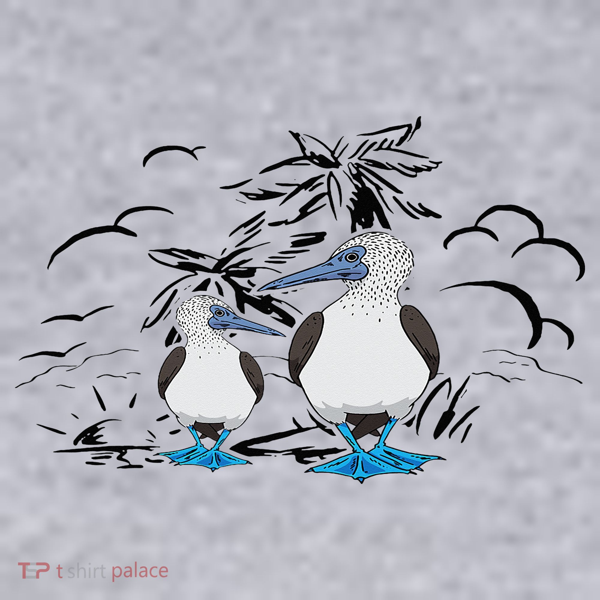 Seabirds Blue Footed Booby Bird Galapagos Islands Women's Sweatshirt