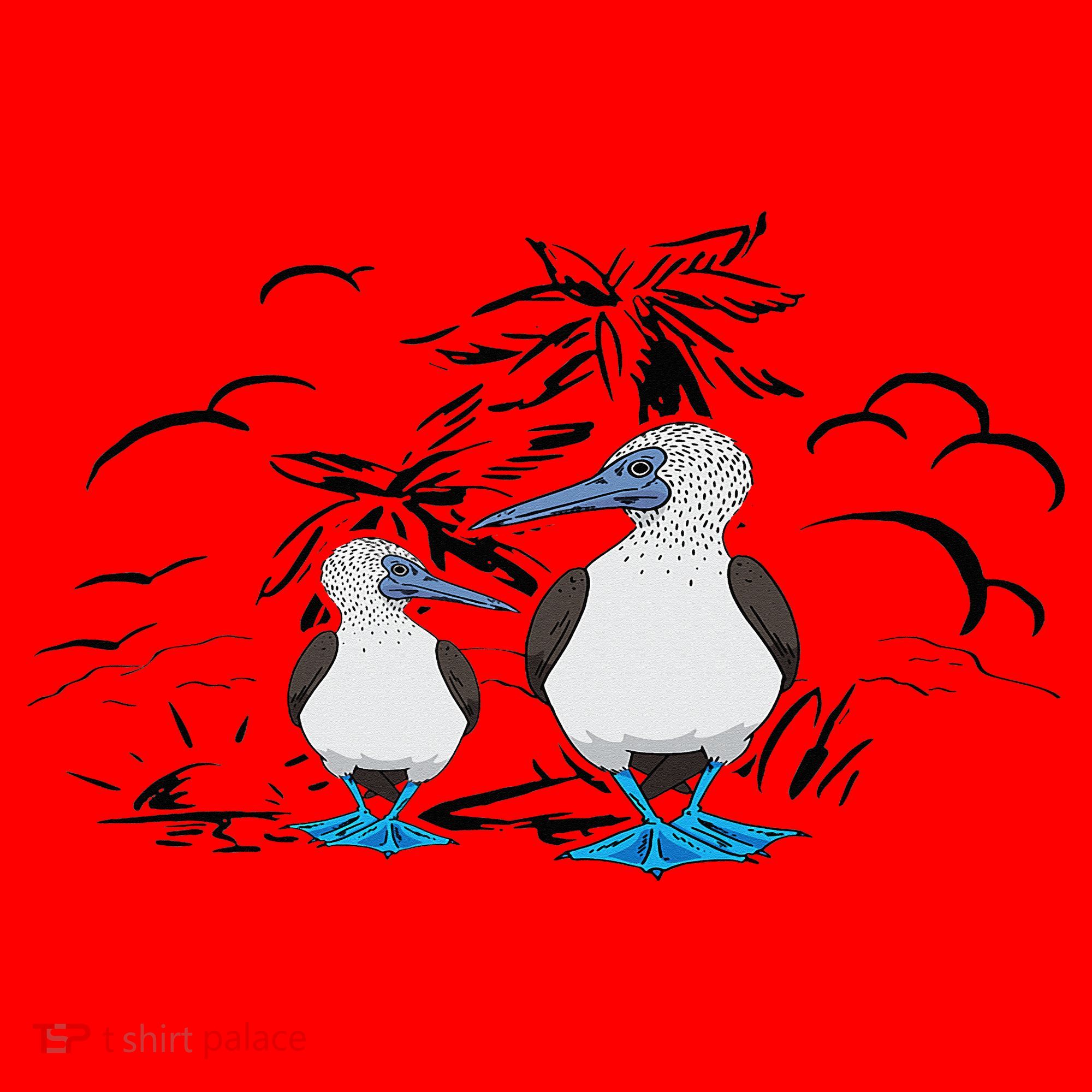 Seabirds Blue Footed Booby Bird Galapagos Islands Santa Hat