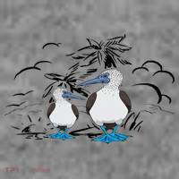 Seabirds Blue Footed Booby Bird Galapagos Islands Toddler Hoodie thumb 2