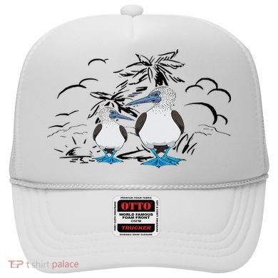 Seabirds Blue Footed Booby Bird Galapagos Islands Hat