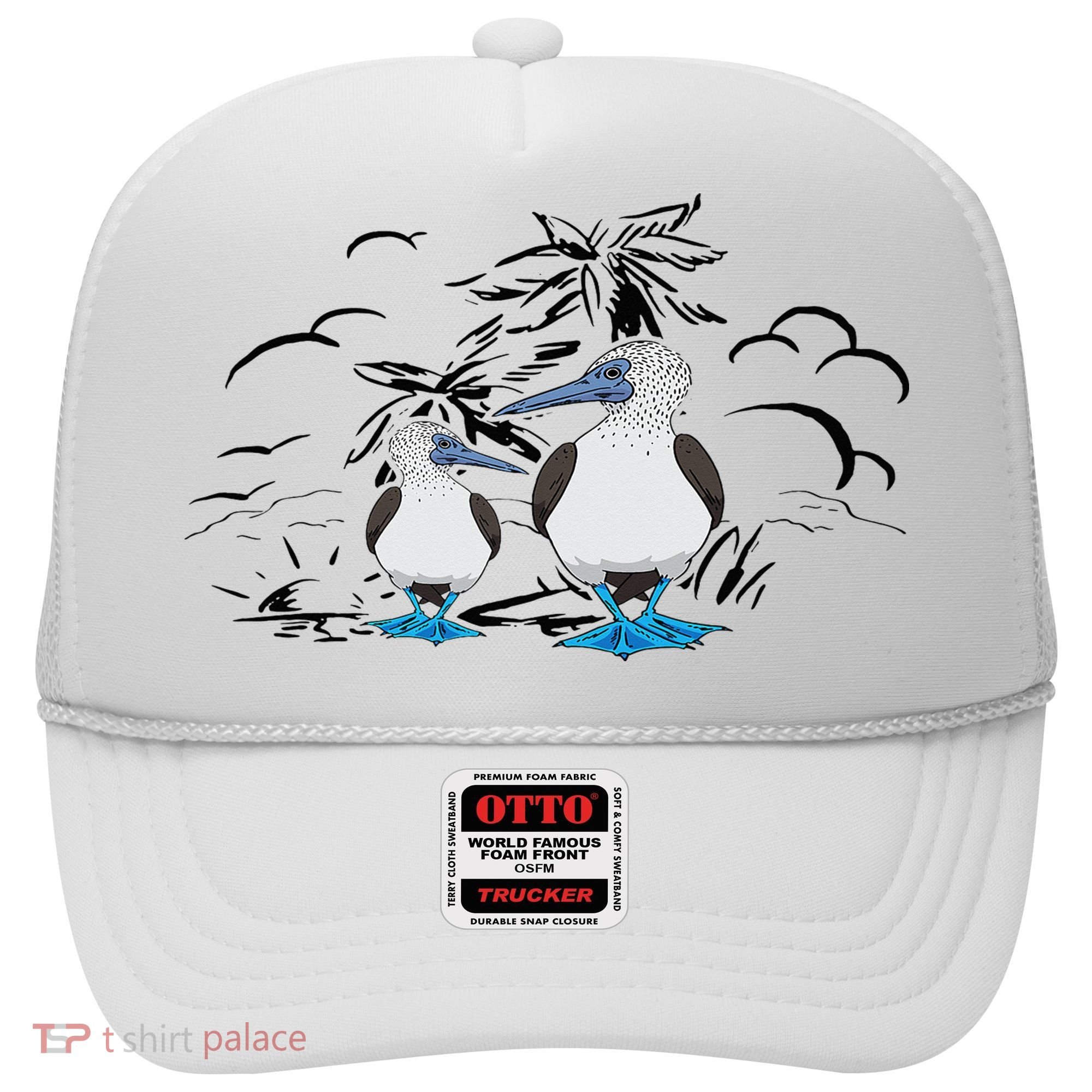 Seabirds Blue Footed Booby Bird Galapagos Islands Hat