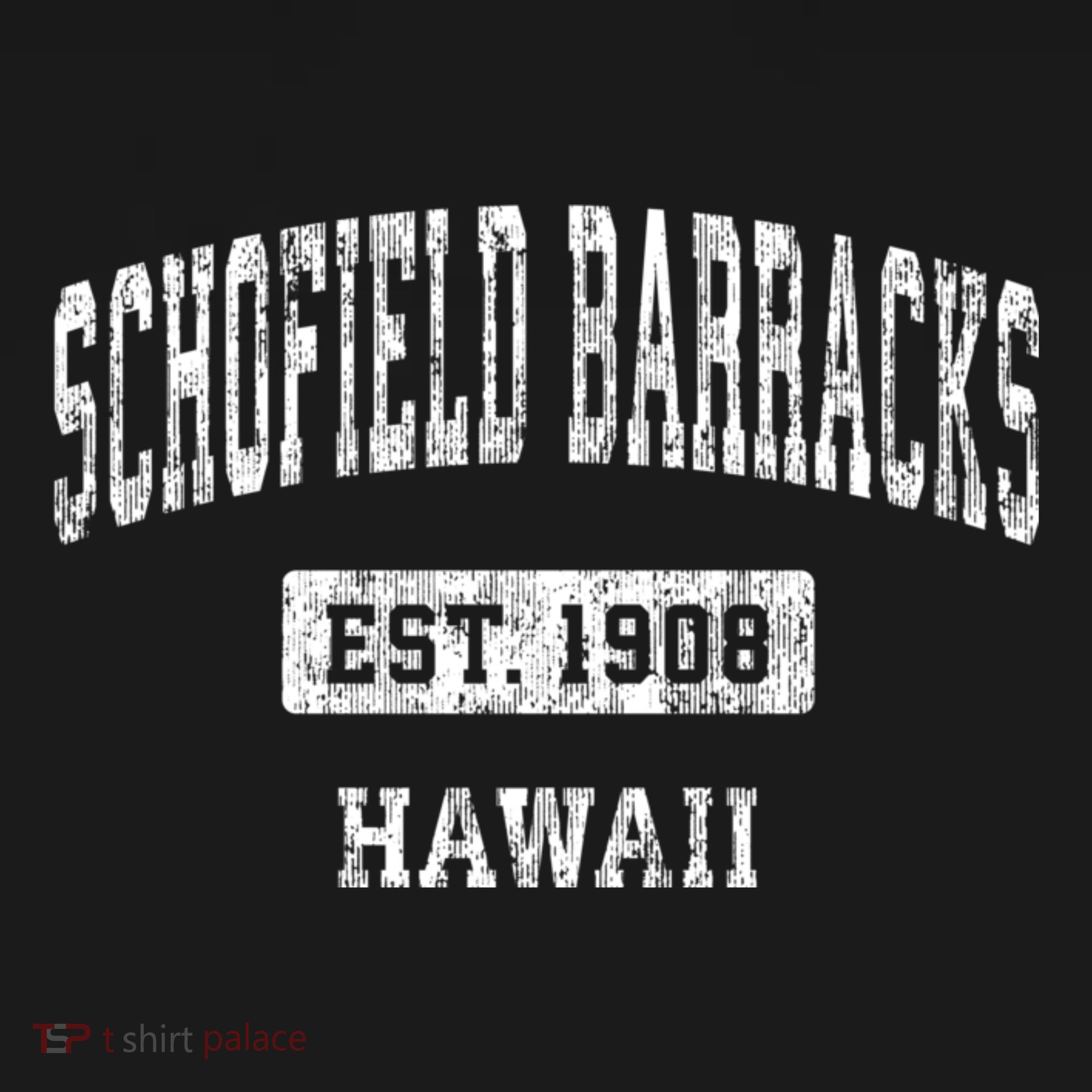 Schofield Barracks Hawaii Hi Vintage Sports Established T-Shirt