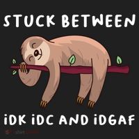 Stuck Between Idk Idc And Idgaf Sloth Lover Gift Great Gift Women's Sweatshirt thumb 2