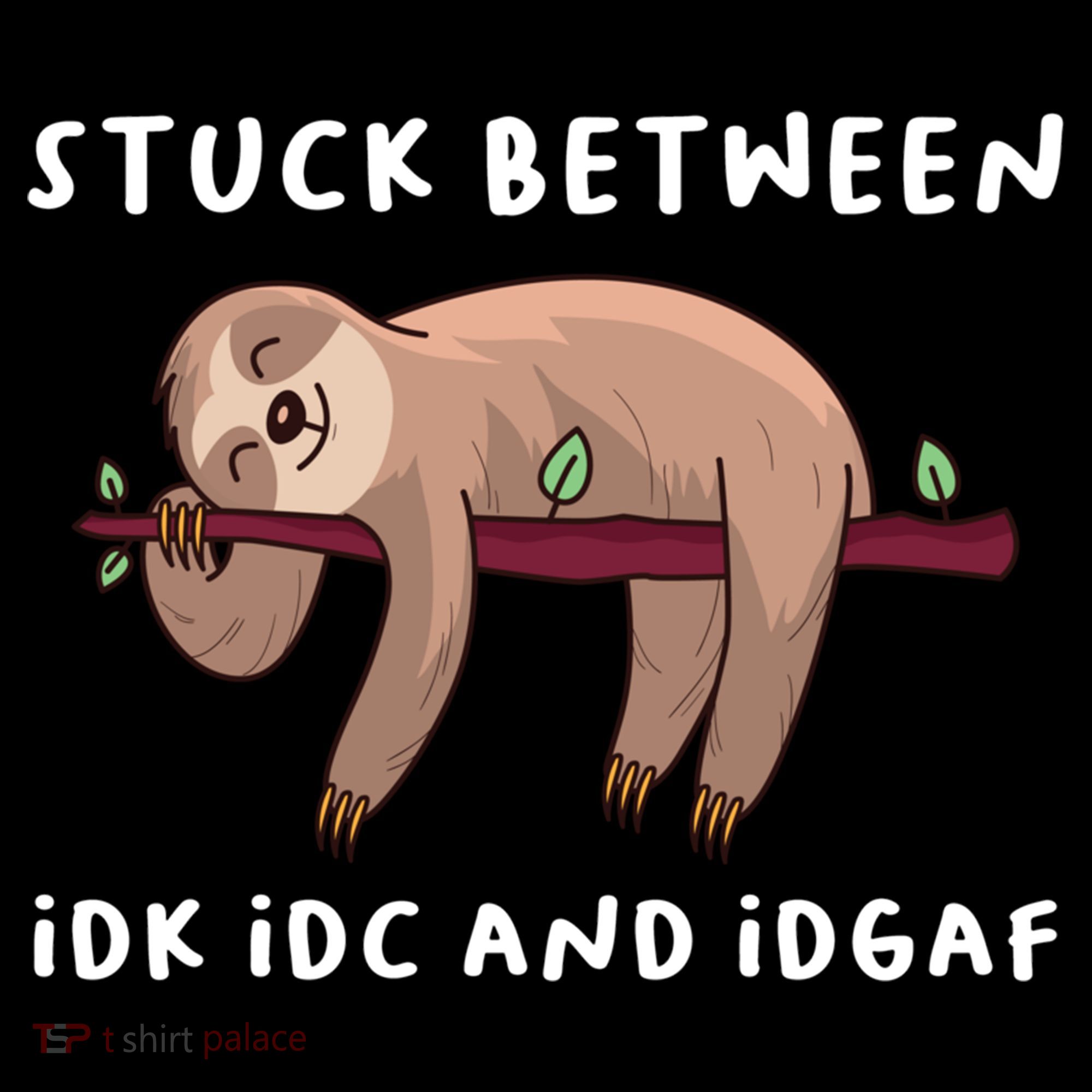 Stuck Between Idk Idc And Idgaf Sloth Lover Gift Great Gift Women's Hoodie