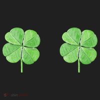 Shamrock Boobs Irish Saint St.Patrick's Patty's Day Tumbler thumb 3