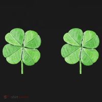 Shamrock Boobs Irish Saint St.Patrick's Patty's Day Kids Long Sleeve Shirt thumb 2