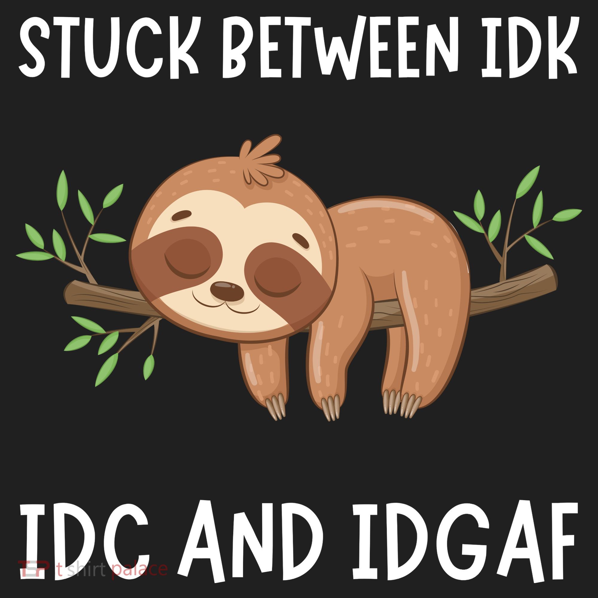 Stuck Between Idk Idc And Idgaf Sloth Lover Gift Women's Sweatshirt