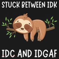 Stuck Between Idk Idc And Idgaf Sloth Lover Gift T-Shirt thumb 7