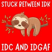 Stuck Between Idk Idc And Idgaf Sloth Lover Gift Santa Hat thumb 1