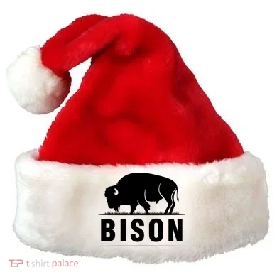 Santa Hat
