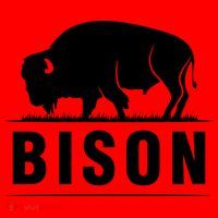 Simple Bison Logo Santa Hat thumb 1