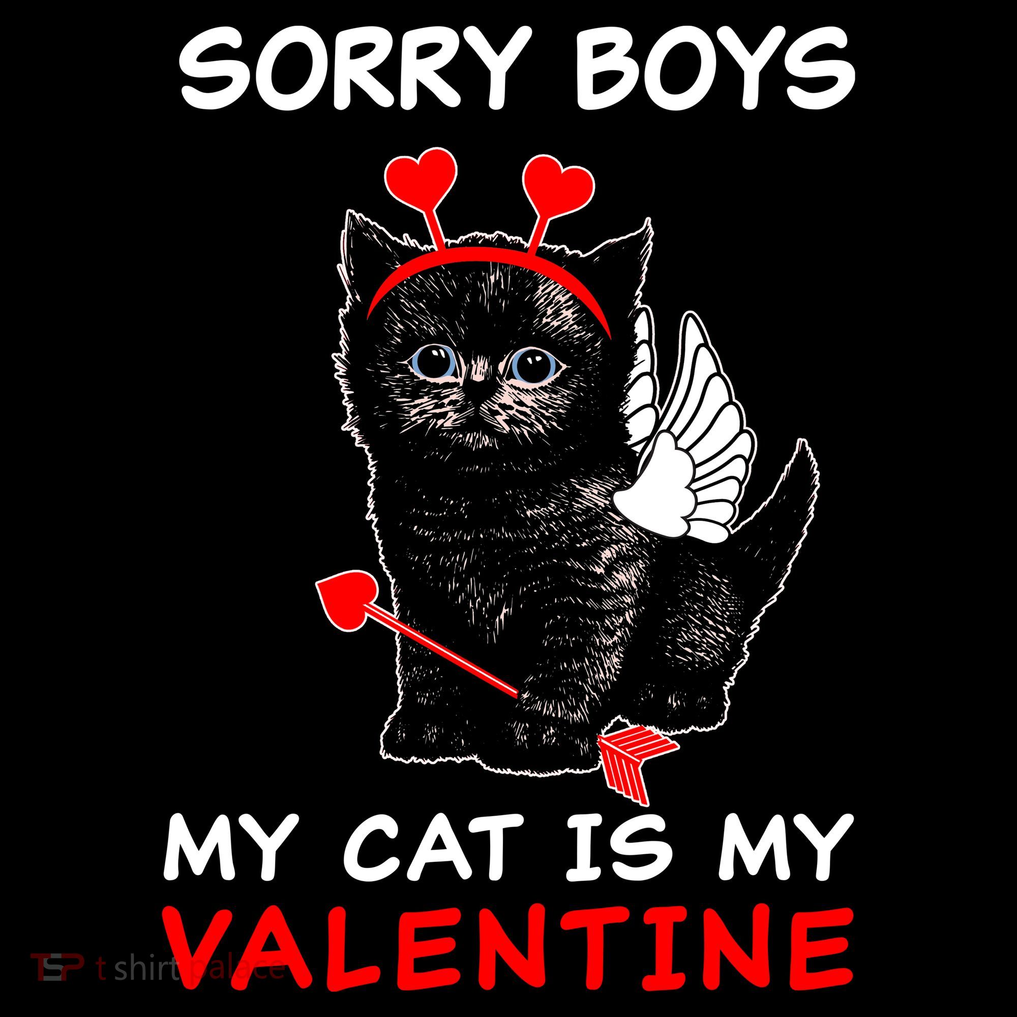 Sorry Boys My Cat Is My Valentine Women's Hoodie