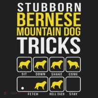 Stubborn Bernese Mountain Dog Tricks Women's Sweatshirt thumb 2