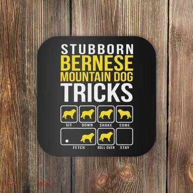 Stubborn Bernese Mountain Dog Tricks Coaster