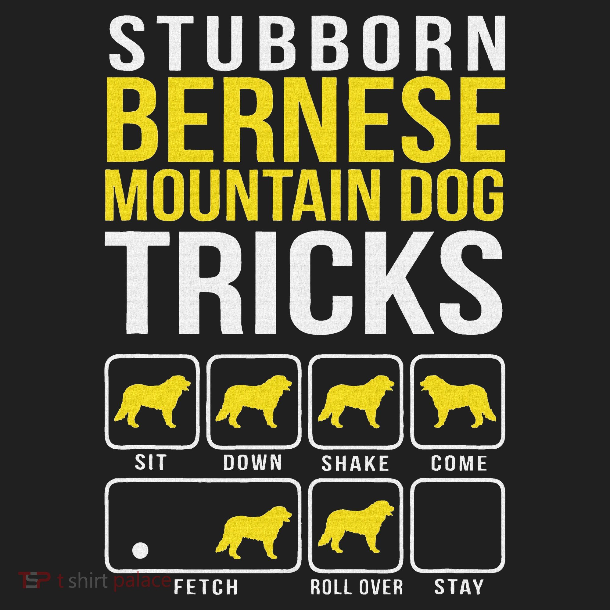 Stubborn Bernese Mountain Dog Tricks Hat