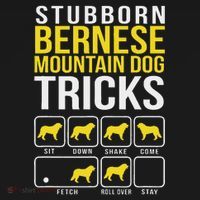 Stubborn Bernese Mountain Dog Tricks Tank Top thumb 6