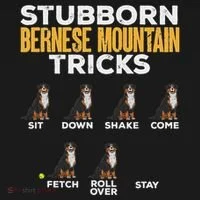 Stubborn Bernese Mountain Dog Tricks Women's T-Shirt thumb 6