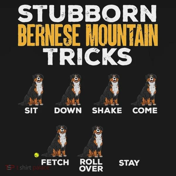 Stubborn Bernese Mountain Dog Tricks Women's T-Shirt