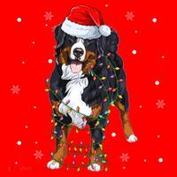 Santa Bernese Mountain Dog Xmas Tree Light Merry Christmas Great Gift Santa Hat thumb 1