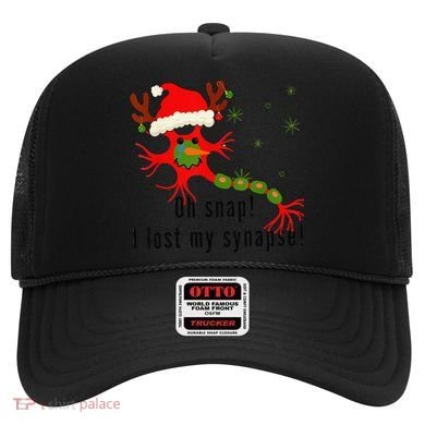 Science Brain Neuron Christmas Neurology Science Teacher Hat