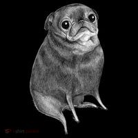 Sweet Black Pug Women's Hoodie thumb 2