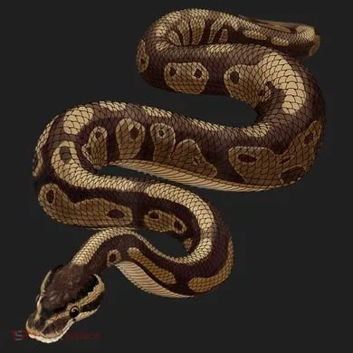 Snake Ball Python 7 Panel Mesh Trucker Snapback Hat