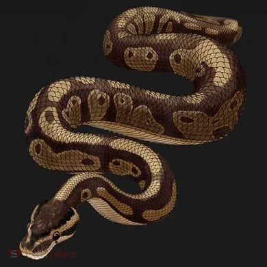 Snake Ball Python Flexfit Unipanel Trucker Cap