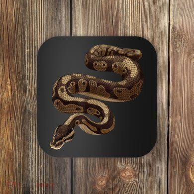 Snake Ball Python Coaster