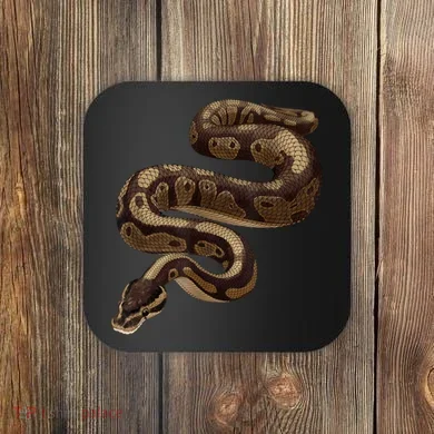 Snake Ball Python Coaster