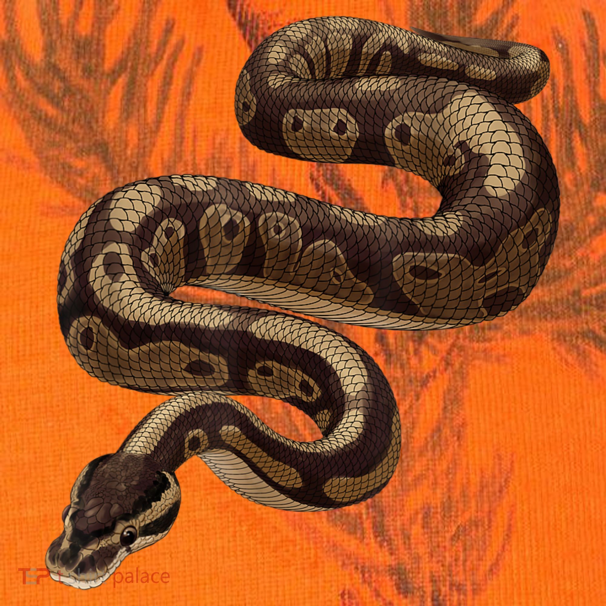 Snake Ball Python Kati Licensed 12" Camo Cuffed Beanie