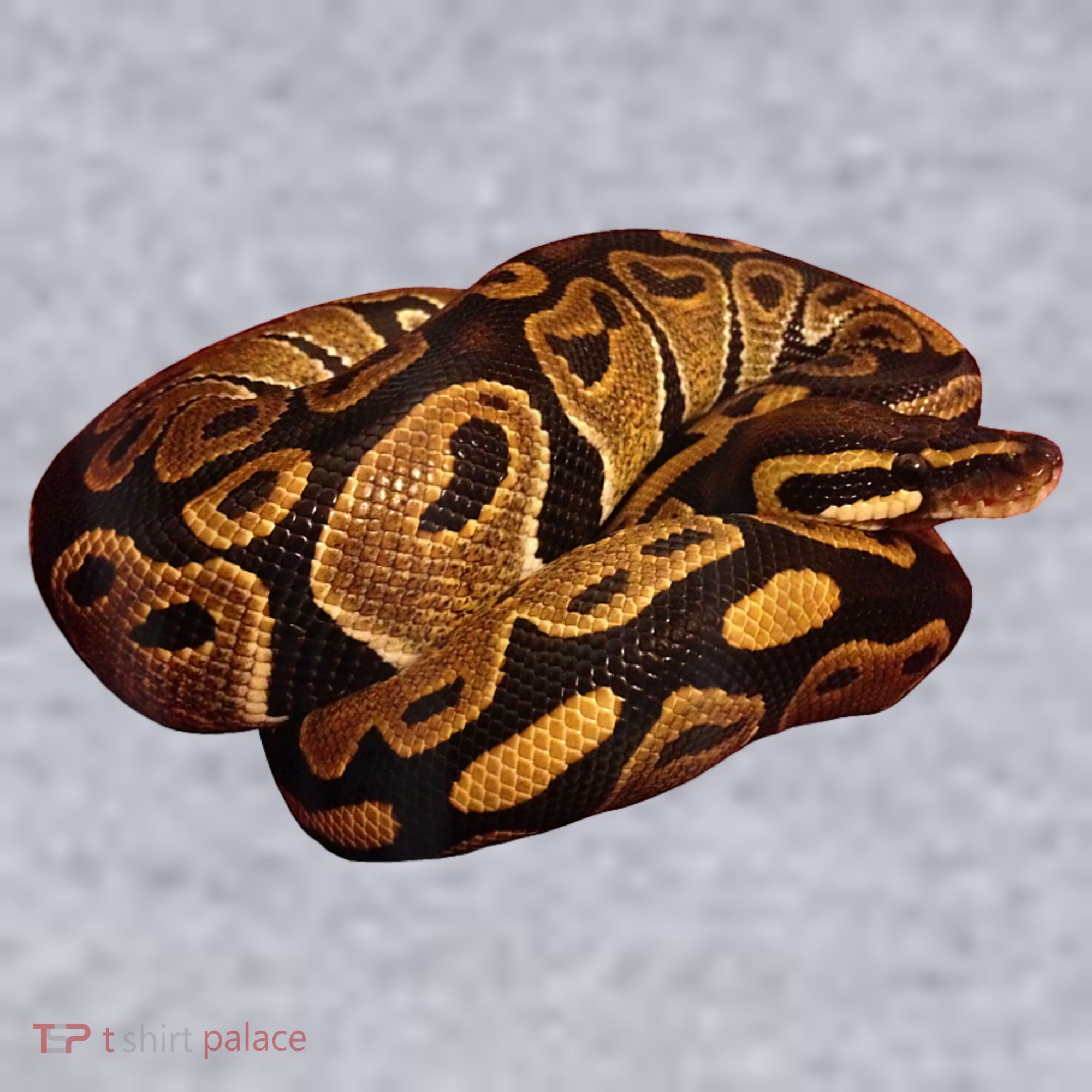 Snake Ball Python Tee Women's Racerback Cropped Tank