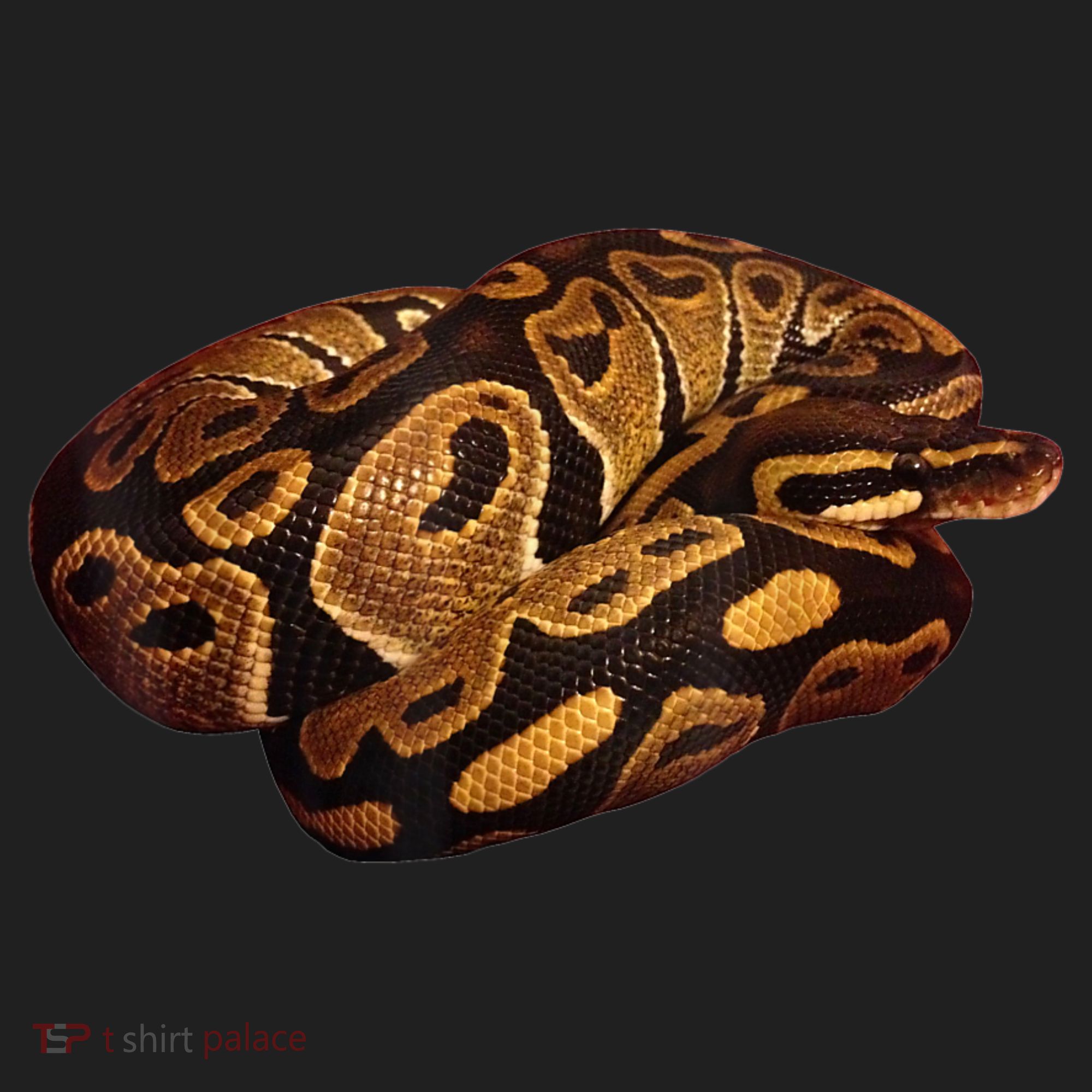 Snake Ball Python Tee Golf Towel