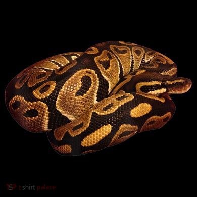 Snake Ball Python Tee Kids Long Sleeve Shirt
