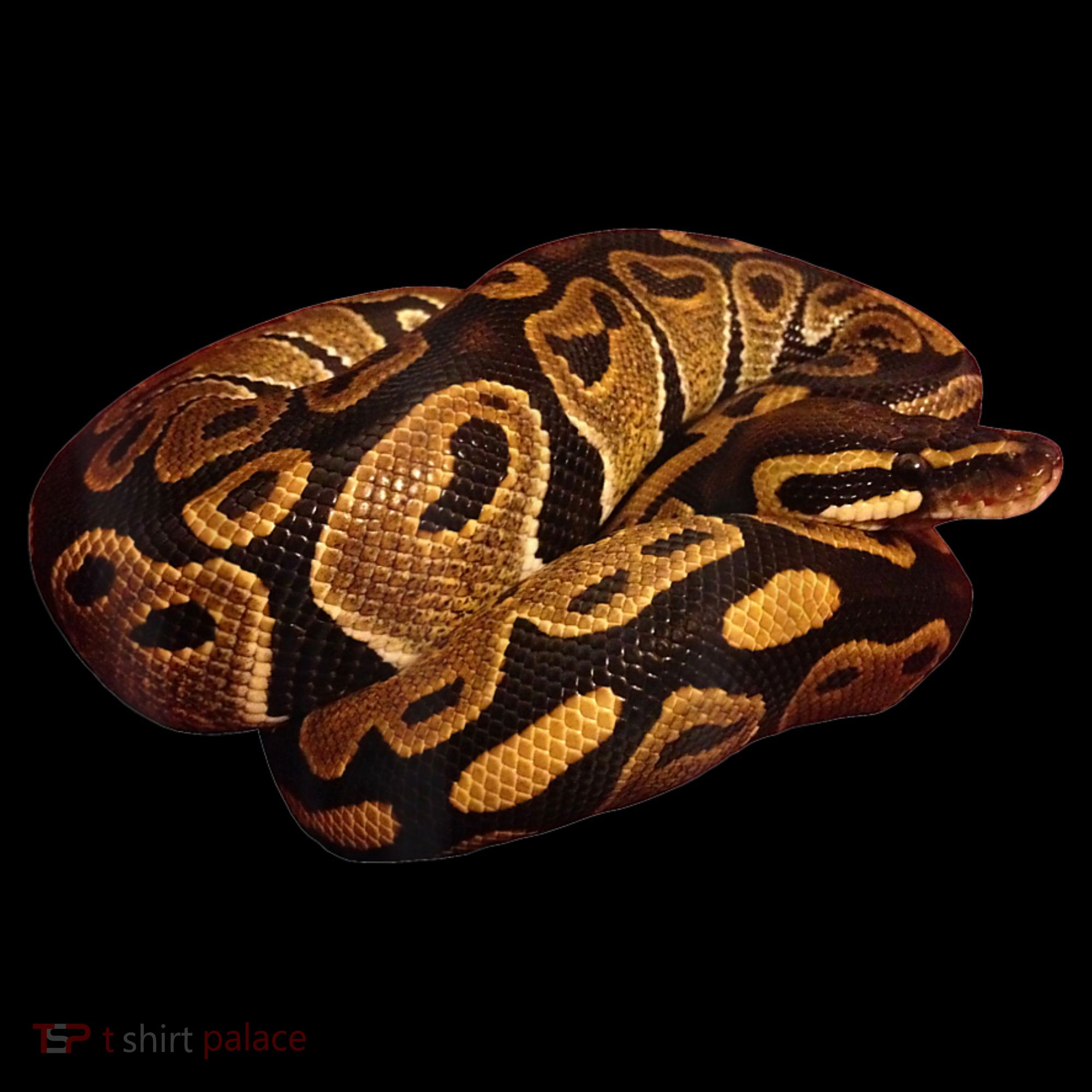 Snake Ball Python Tee Tote Bag