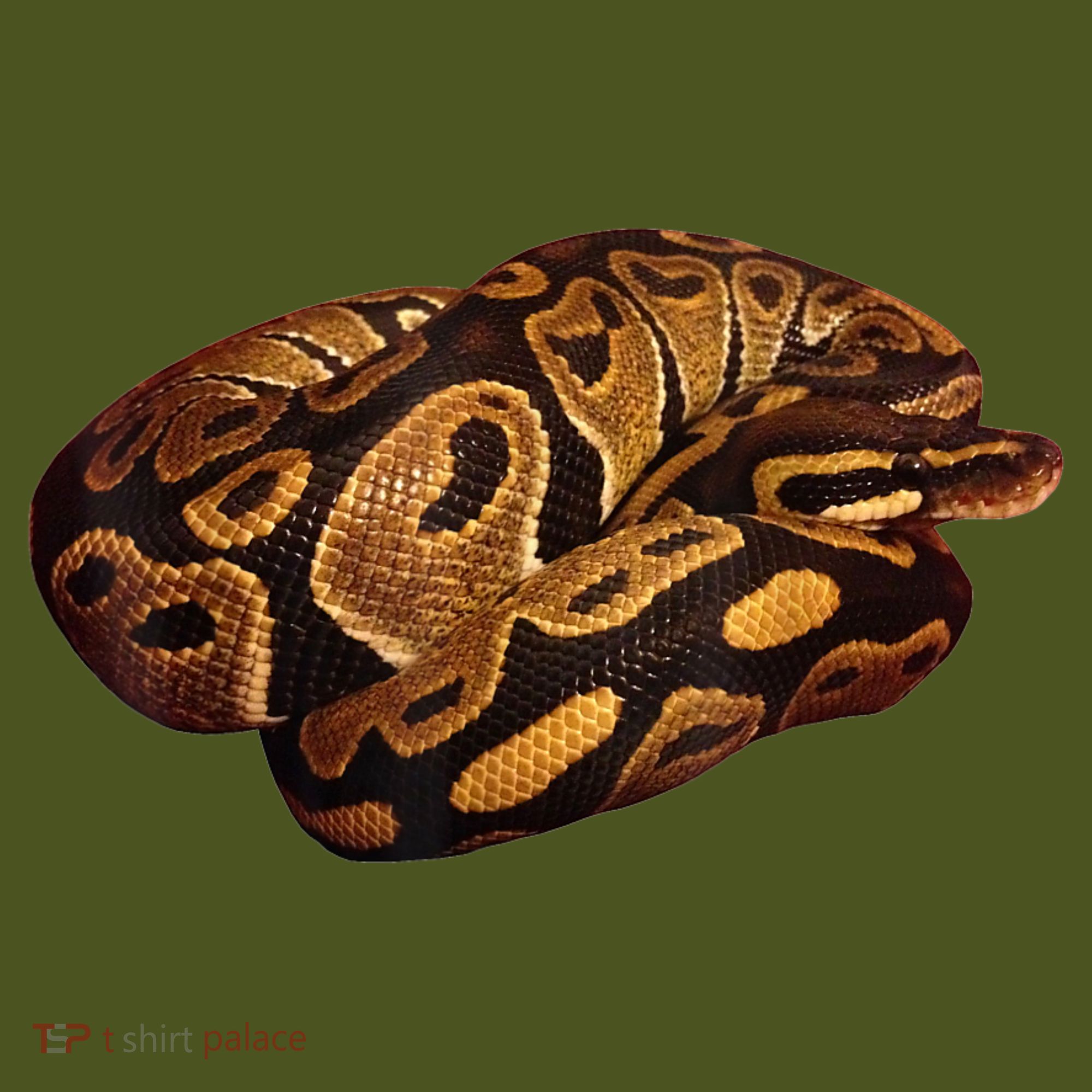 Snake Ball Python Tee Kids Hoodie