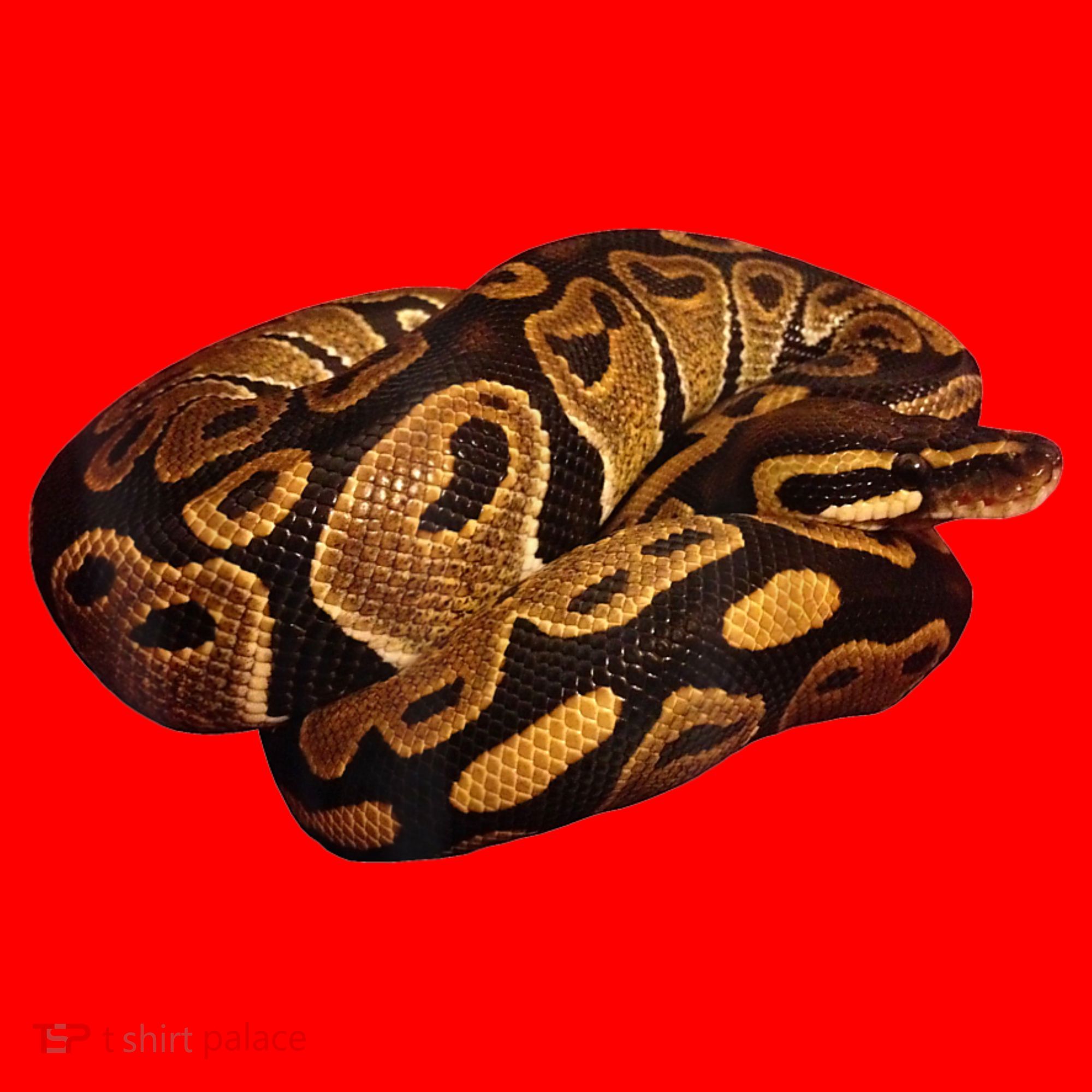Snake Ball Python Tee Santa Hat