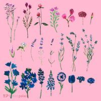 Subtle Bi Pride Bisexual Flowers Flag Discreet Pride Apparel Coaster thumb 2