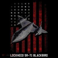 Sr71 Blackbird Plane USA-Made Doggie Bandana thumb 2