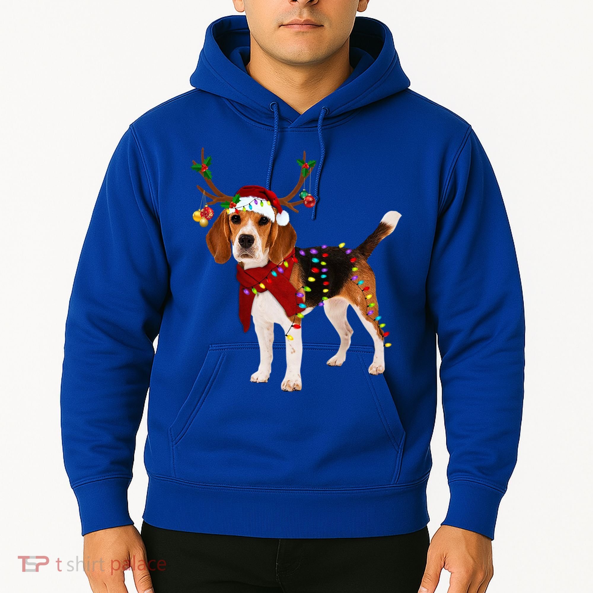 Santa Beagle Reindeer Light Christmas Funny Gift Hoodie