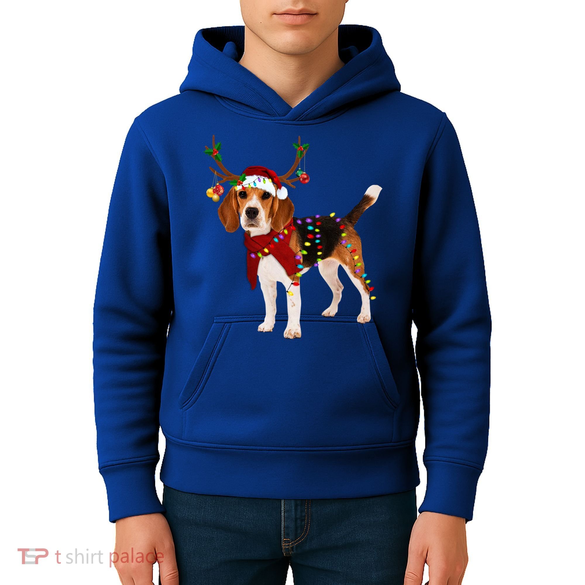 Santa Beagle Reindeer Light Christmas Gift Kids Hoodie